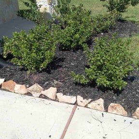 Flower Bed Weeding by Bus city bullys reviewed on November 15, 2022