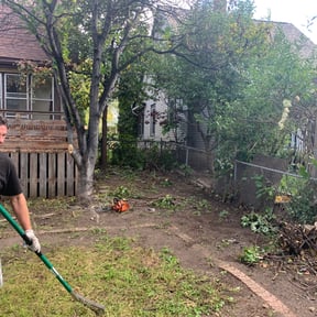 Bush Trimming by C&R Ventures reviewed on June 12, 2022
