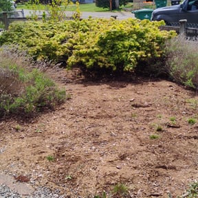 Leaf Removal by AJ’s lawn service reviewed on May 18, 2022