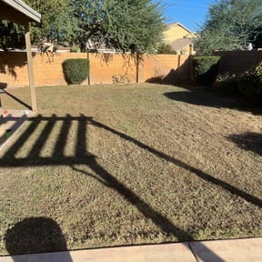 Bush Trimming by C J &#039;s. Lawn Care reviewed on July 18, 2025