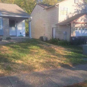 Lawn Seeding by Luxury & Quality Lawn Care reviewed on June 20, 2022