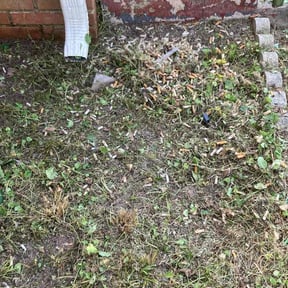 Flower Bed Weeding by Dr.GreenKeeper Lawn Care reviewed on May 2, 2022