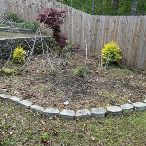 Flower Bed Weeding by QQL reviewed on June 24, 2024