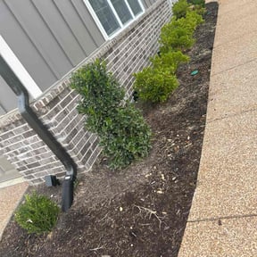 Flower Bed Weeding by Tee's OCD reviewed on May 18, 2025
