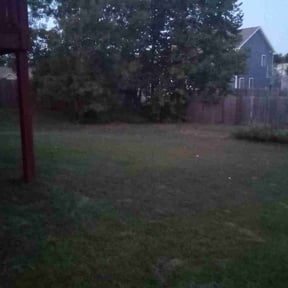 Flower Bed Weeding by Andrade lawncare reviewed on September 11, 2024