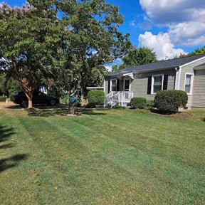 Bush Trimming by Cutting up Lawn and Tree Care reviewed on August 20, 2024