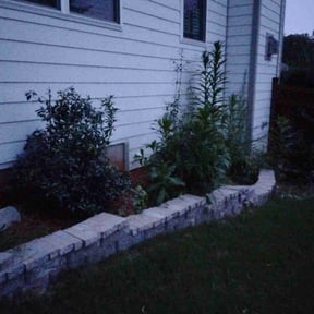 Bush Trimming by J@A Pro reviewed on May 5, 2020
