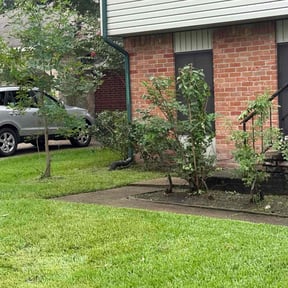 Bush Trimming by Villafuerte & Sons landscape reviewed on June 25, 2022