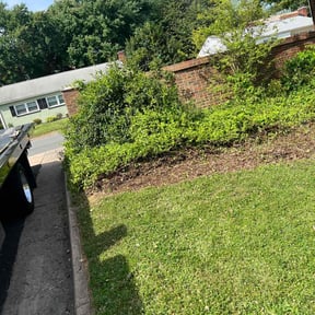 Cleanups by David Peters reviewed on October 14, 2024