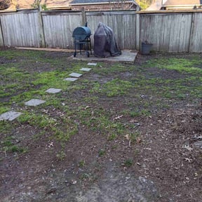 Leaf Removal by Express Innovations reviewed on June 4, 2022