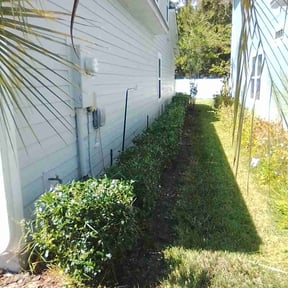 Bush Trimming by Sunny Carolina lawncare services llc reviewed on April 26, 2022