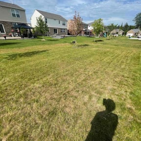 Cleanups by Hands On Landscaping and Cleaning reviewed on October 12, 2022
