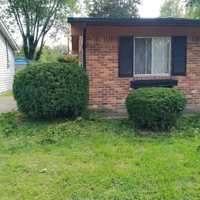 Bush Trimming by Contreras Outdoors reviewed on November 26, 2024