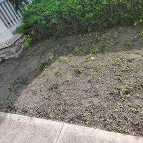 Flower Bed Weeding by Mowing on reviewed on May 6, 2022