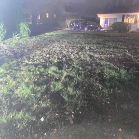 Leaf Removal by Elite Landscaping reviewed on April 6, 2025