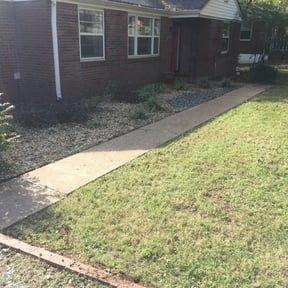 Leaf Removal by Emergency Lawn Care reviewed on June 30, 2019