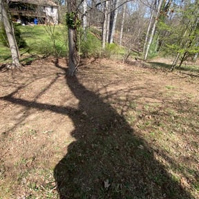 Leaf Removal by D&k Taylor lawn care reviewed on June 9, 2022