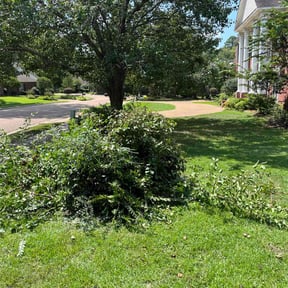 Bush Trimming by Thayer's Property Maintenance reviewed on July 13, 2022