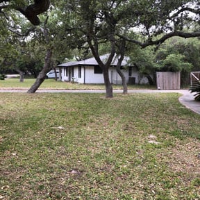 Leaf Removal by Wyatt's Lawn Care /Bad MowFos reviewed on May 7, 2025