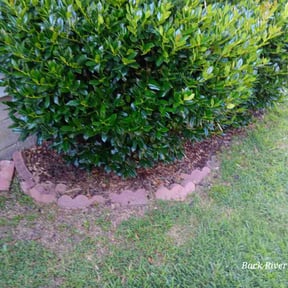 Flower Bed Weeding by A&T Mobile Detailing and Home Renovation reviewed on April 11, 2025