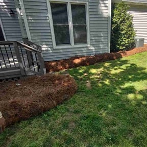 Cleanups by Dream Cuts landscaping and Lawn Care LLC reviewed on January 23, 2025