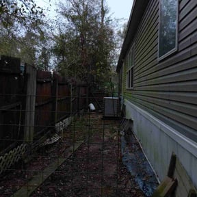 Leaf Removal by Recessionlawn@aol.com reviewed on July 20, 2022
