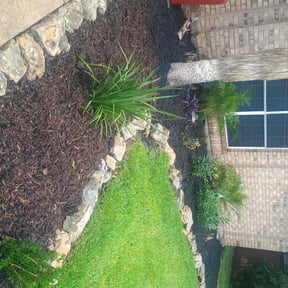 Mulching by The Swole Life Corporation dba Swole & Bold Lawn Grooming reviewed on April 10, 2025