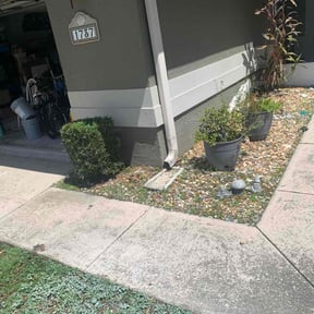 Flower Bed Weeding by Orlando Palms reviewed on July 6, 2025