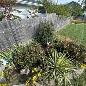 Flower Bed Weeding by Garden Lawn Care reviewed on May 28, 2022
