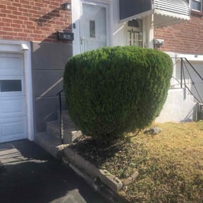 Bush Trimming by KCT Landscaping  reviewed on September 13, 2024