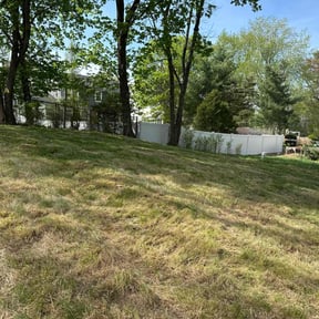Leaf Removal by T & J lawncare reviewed on June 1, 2021