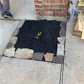 Cleanups by EP Remodeling LLC reviewed on August 26, 2024