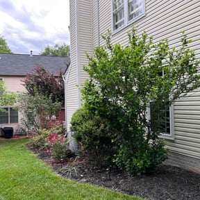 Flower Bed Weeding by Toro Verde Lawns reviewed on June 23, 2025