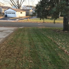 Cleanups by Arts Landscaping & Maintenance reviewed on July 17, 2022