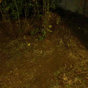 Leaf Removal by RG&C landscape maintenance llc reviewed on May 25, 2022