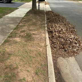 Cleanups by Ledezma reviewed on April 14, 2022