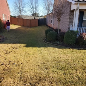 Leaf Removal by Los Hombre Landscaping reviewed on June 9, 2025