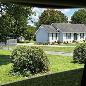 Bush Trimming by Andasol Landscaping reviewed on July 7, 2025