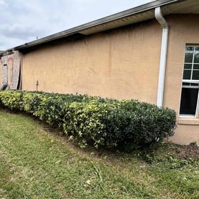 Bush Trimming by Rjm reviewed on July 12, 2022