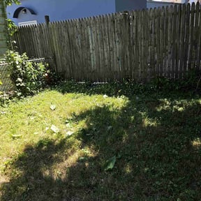 Bush Trimming by J.Rodriguez Tree Trimming & Lawn Care reviewed on September 12, 2021