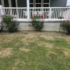 Flower Bed Weeding by JBB's landscaping reviewed on July 3, 2022
