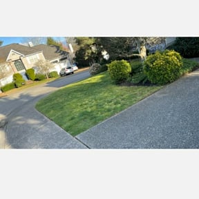 Leaf Removal by 66landscaping LLC reviewed on June 4, 2022