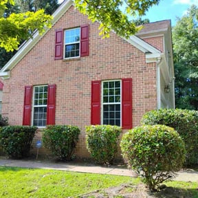 Bush Trimming by Jamal&amp;kamile  reviewed on July 19, 2022