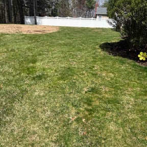 Leaf Removal by Pro Kutz reviewed on June 16, 2022
