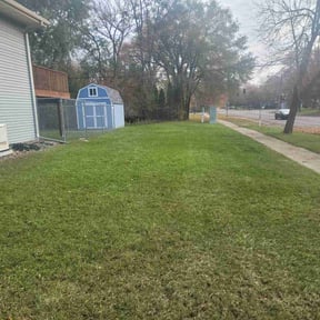 Cleanups by Leijas Brothers Landscaping reviewed on July 12, 2022