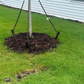 Flower Bed Weeding by Blade and bloom lawncare llc reviewed on July 22, 2025
