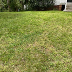 Bush Trimming by RHJ LANDSCAPING LLC reviewed on March 26, 2025