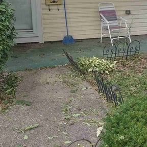 Weed Pulling by Precision Lawn Care of VA reviewed on April 15, 2022