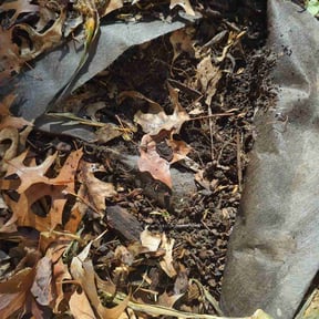 Flower Bed Weeding by Mabin Lawn Service reviewed on January 4, 2025