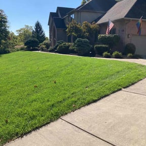 Mulching by Edgar Yanez Services reviewed on July 11, 2022